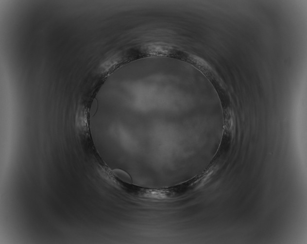 X0000085830573200703231423