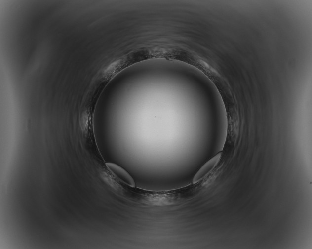 X0000085830574200703231423