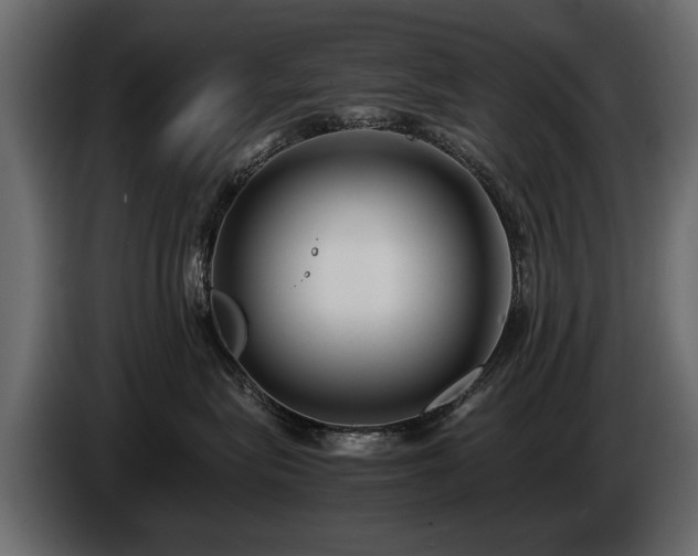 X0000085830575200703231423