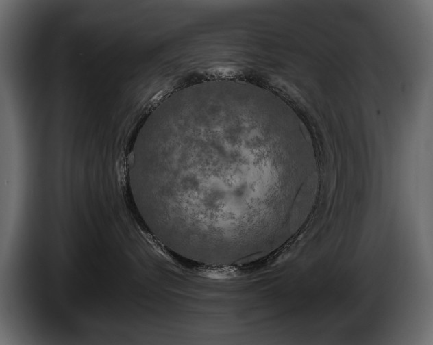 X0000085830576200703231423