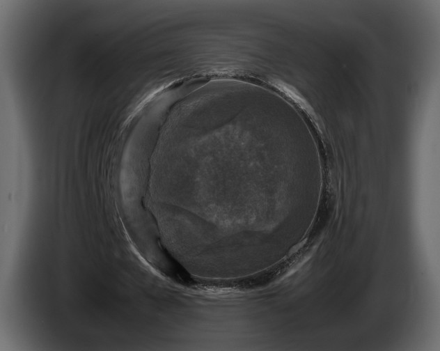 X0000085830577200703231422