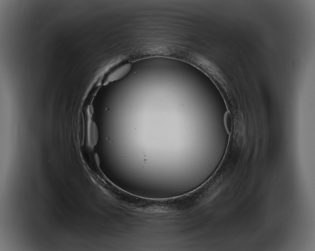 X0000085830578200703231422