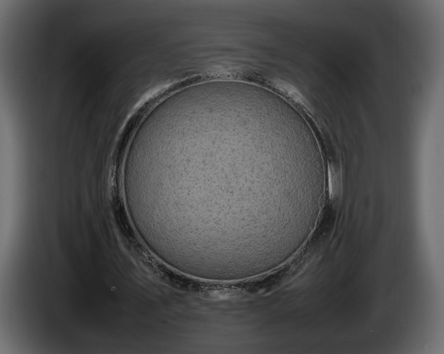 X0000085830579200703231422