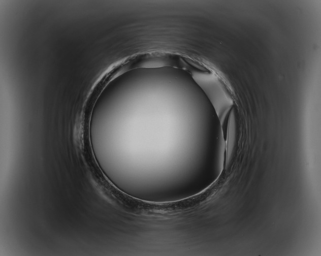 X0000085830580200703231422