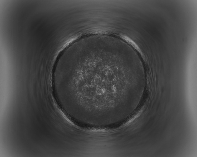 X0000085830581200703231422