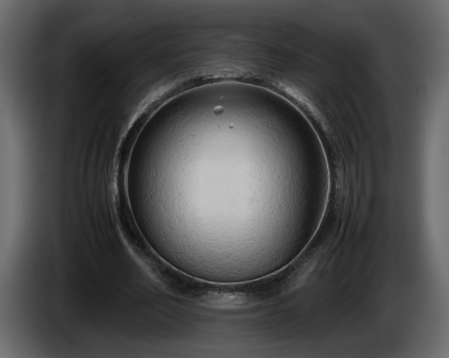 X0000085830582200703231422