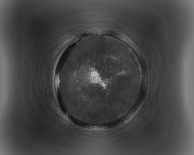 X0000085830585200703231422