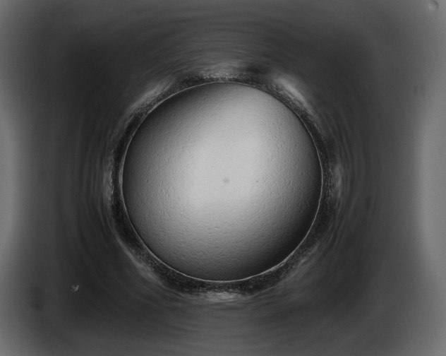 X0000085830586200703231422