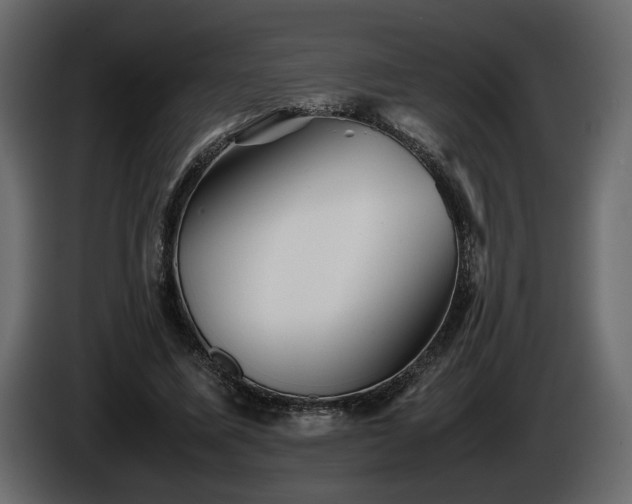 X0000085830587200703231422