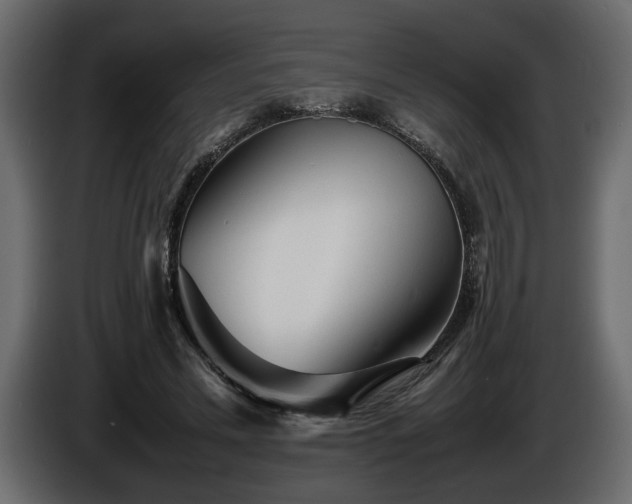 X0000085830589200703231422