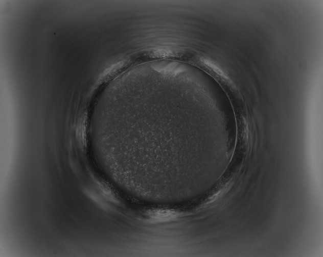 X0000085830590200703231422