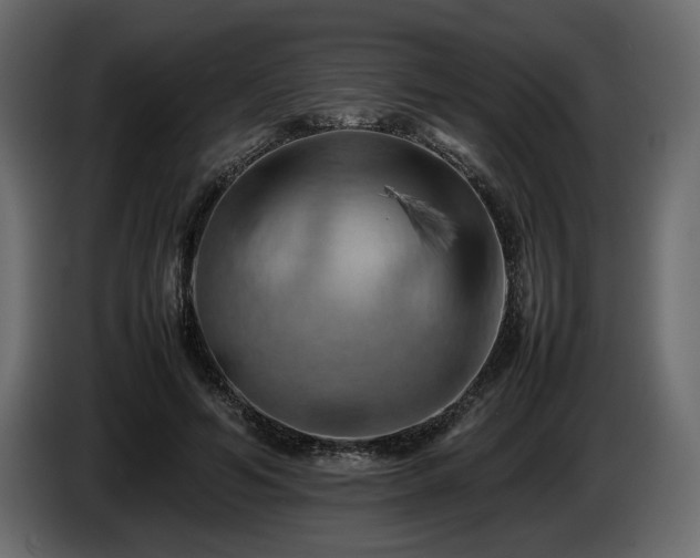 X0000085830594200703231422