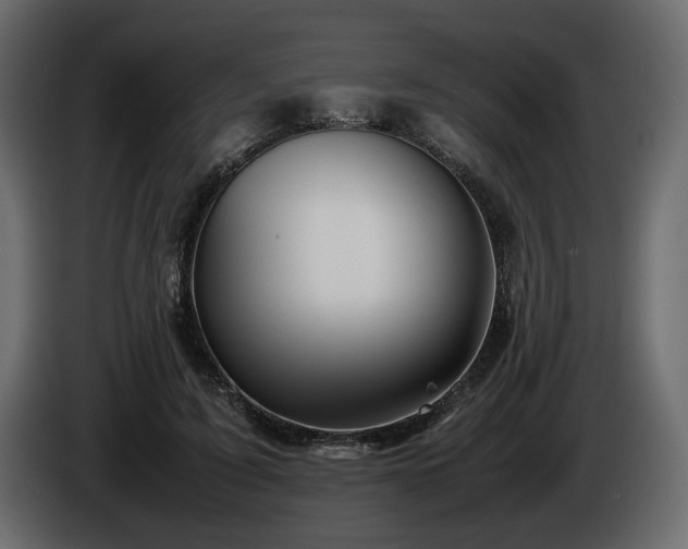 X0000085830595200703231422