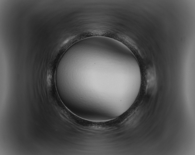 X0000085830596200703231422