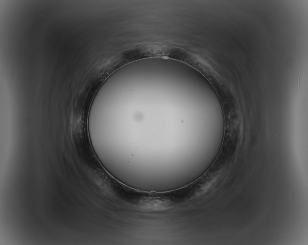 X0000085830597200703231422