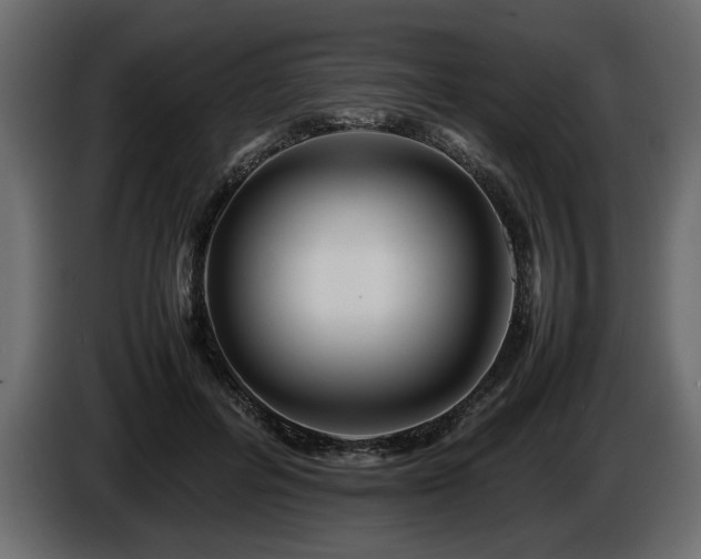 X0000085830600200703231422