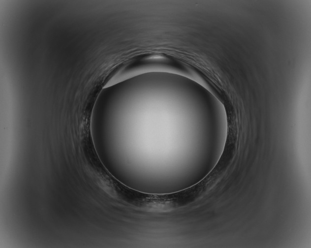 X0000085830601200703231422