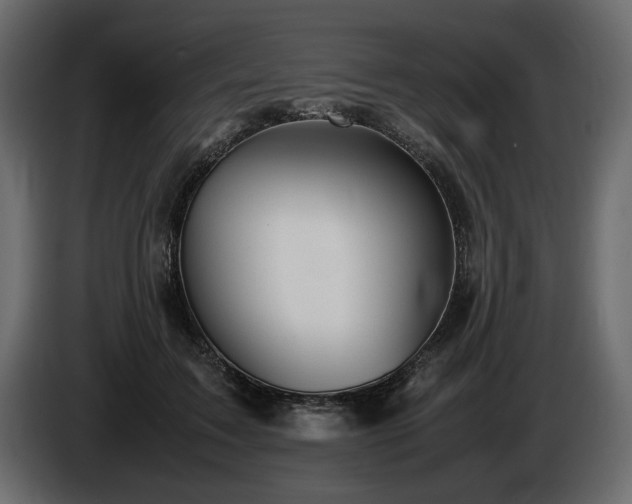 X0000085830603200703231422