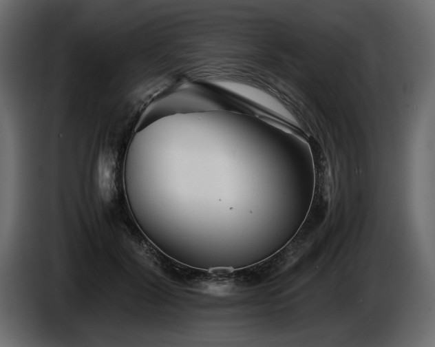 X0000085830604200703231422