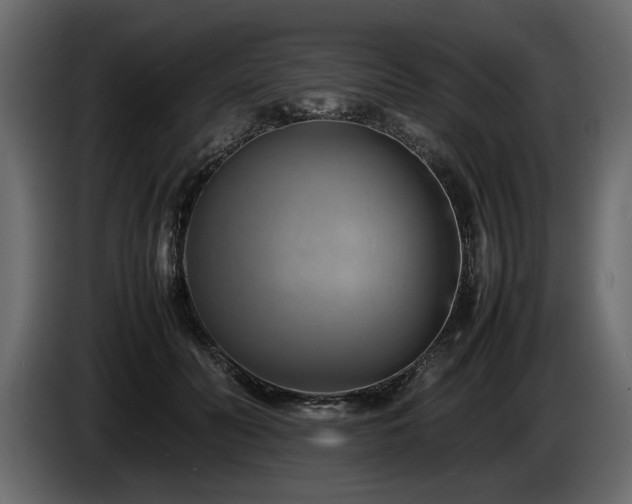 X0000085830606200703231422