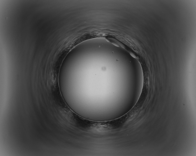 X0000085830607200703231422