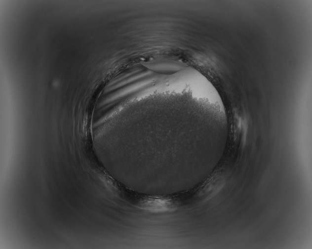 X0000085830610200703231422