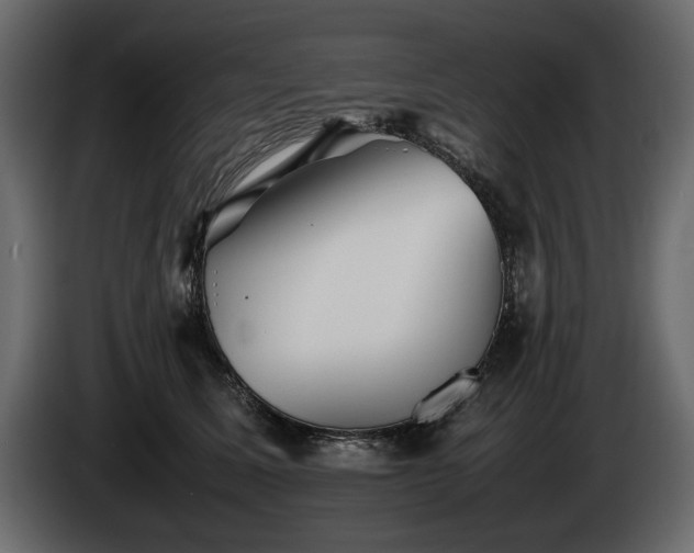 X0000085830611200703231422