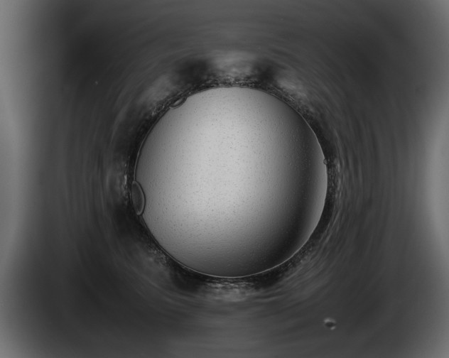 X0000085830615200703231422