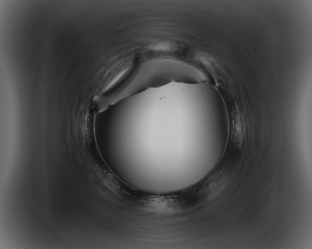 X0000085830616200703231422