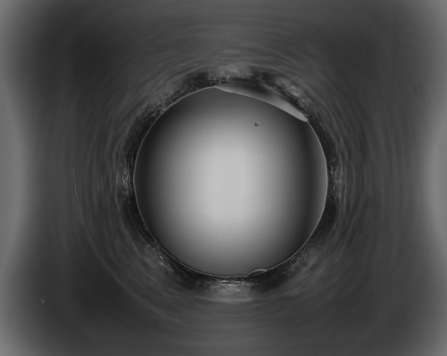 X0000085830617200703231422