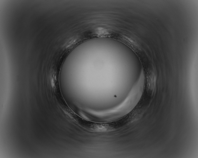 X0000085830618200703231422