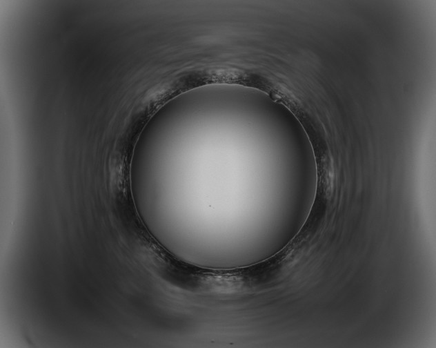 X0000085830619200703231422