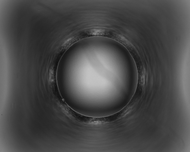 X0000085830620200703231421