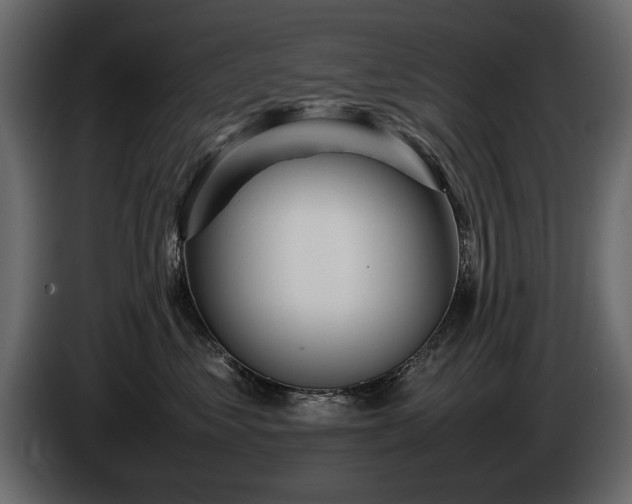 X0000085830621200703231421