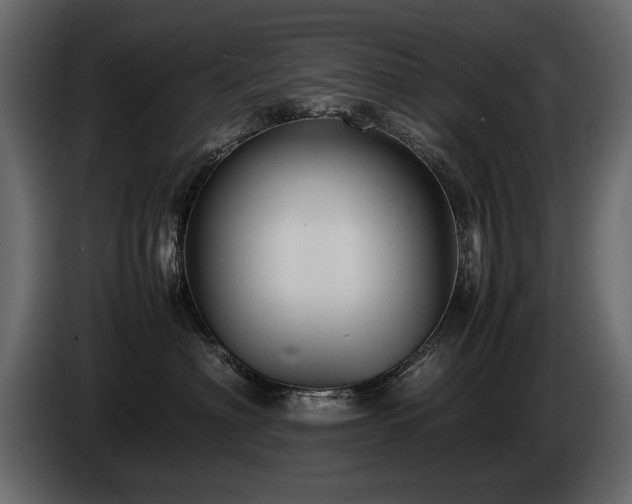 X0000085830622200703231421