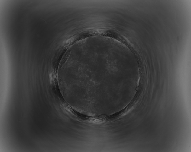 X0000085830624200703231421