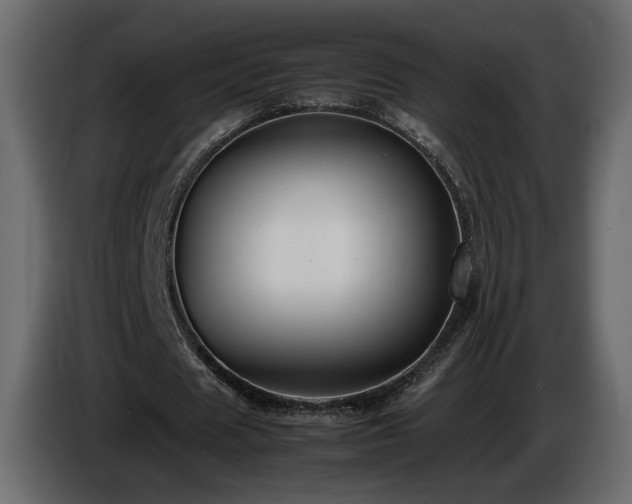 X0000085830625200703231421