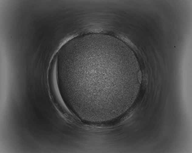 X0000085830626200703231421