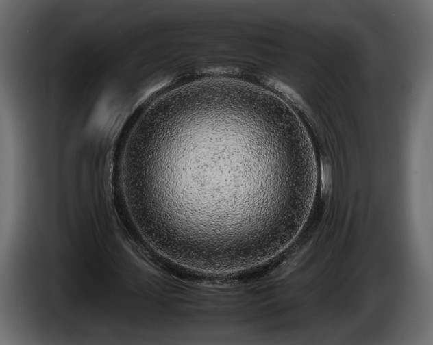 X0000085830627200703231421