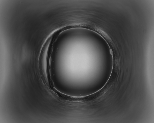 X0000085830628200703231421