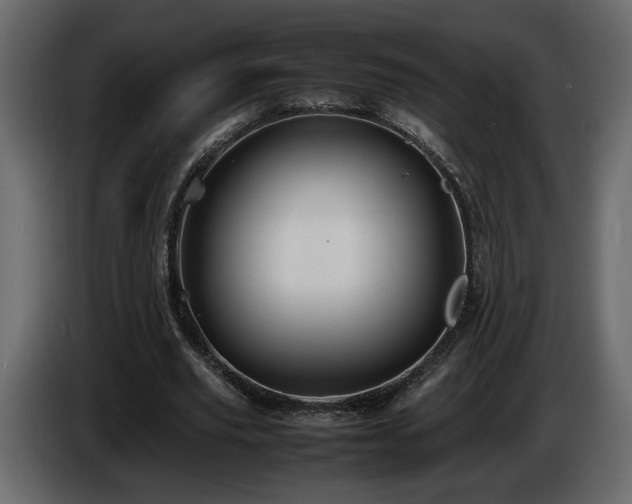 X0000085830629200703231421