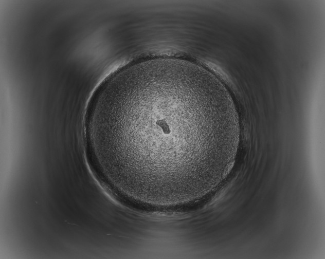 X0000085830630200703231421