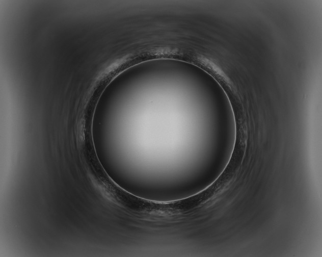 X0000085830631200703231421