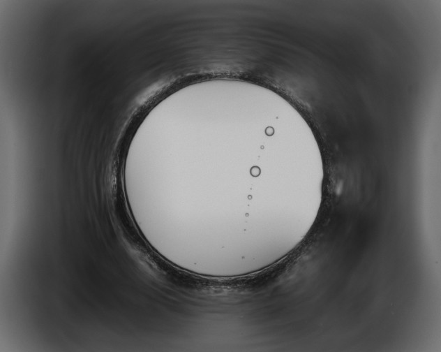 X0000085830632200703231421