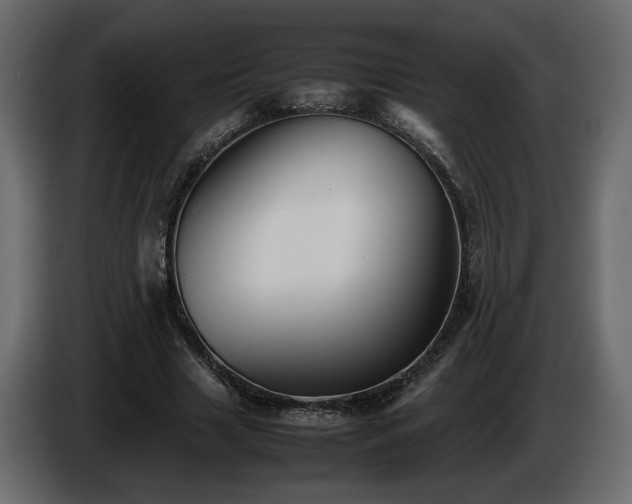 X0000085830633200703231421