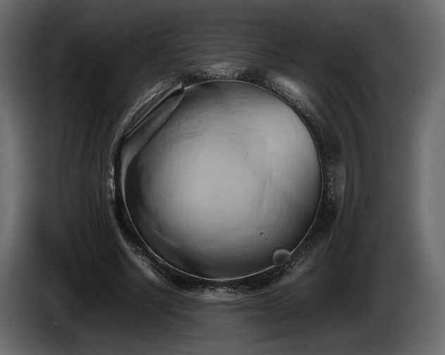 X0000085830634200703231421