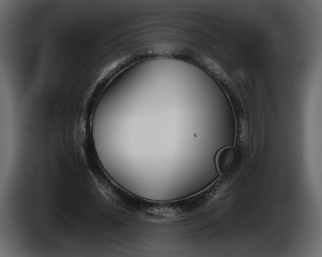 X0000085830636200703231421