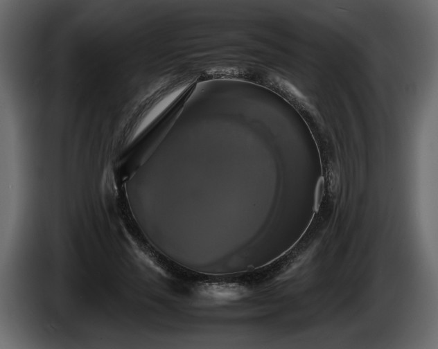 X0000085830637200703231421