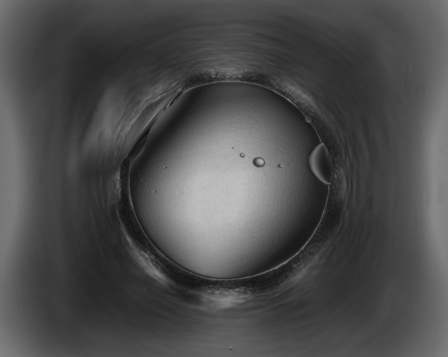 X0000085830638200703231421