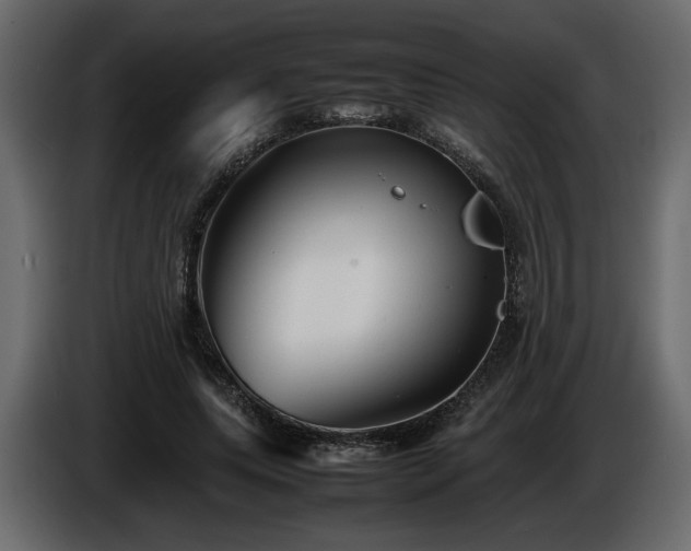 X0000085830639200703231421